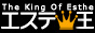 エステ王 地図から見つける隠れ家メンズエステ